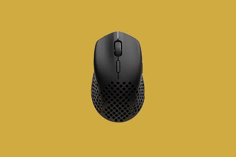 Mouse